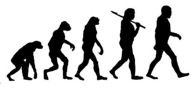 evolution-1