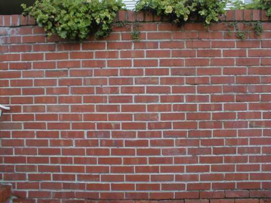 brickwall