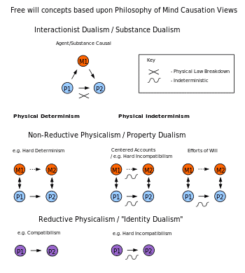 350px-freewillconceptsbaseduponphilosophyofmindcausationviews.svg_