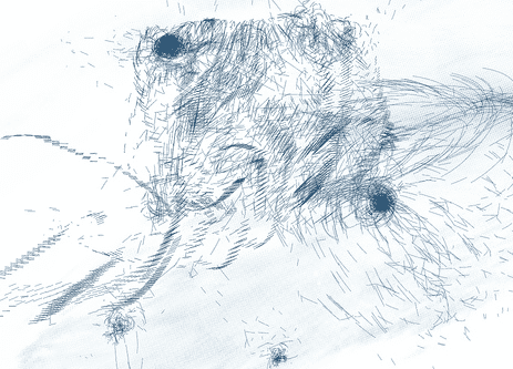 data-stream