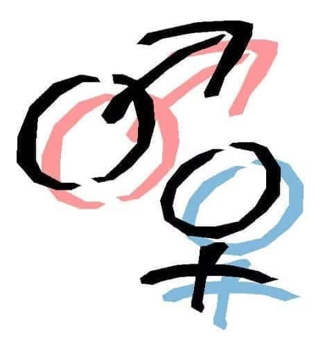 masculinity-vs-femininity