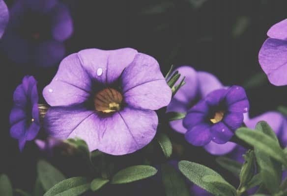 unsplash_525b54bcc32ba_1