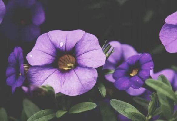 unsplash_525b54bcc32ba_1