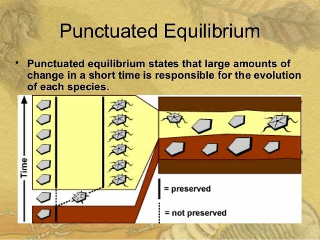 punctuated evolution
