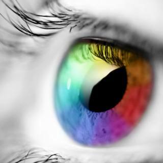perception-and-memory_1