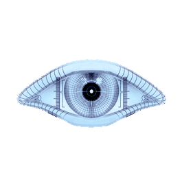 nmap_logo