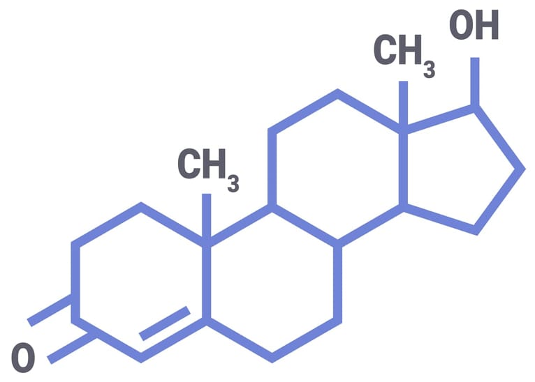 testosterone