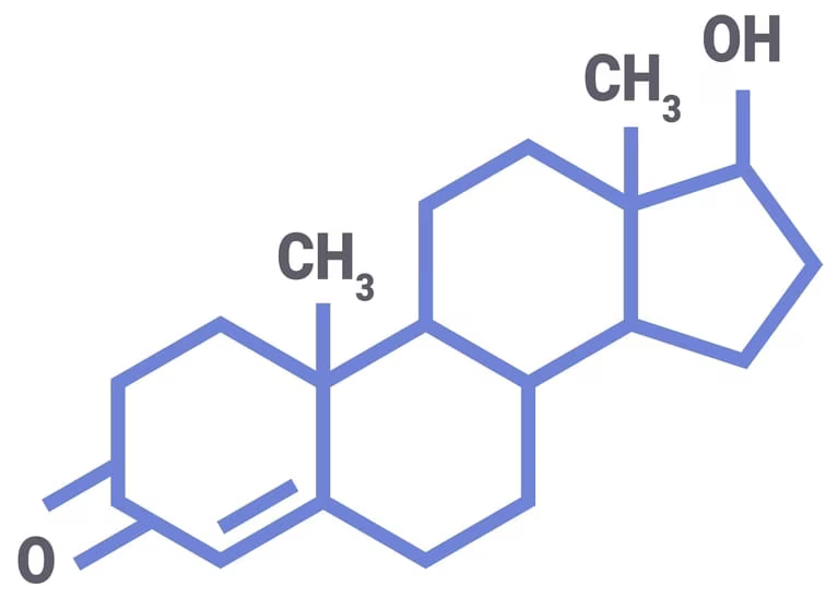 testosterone