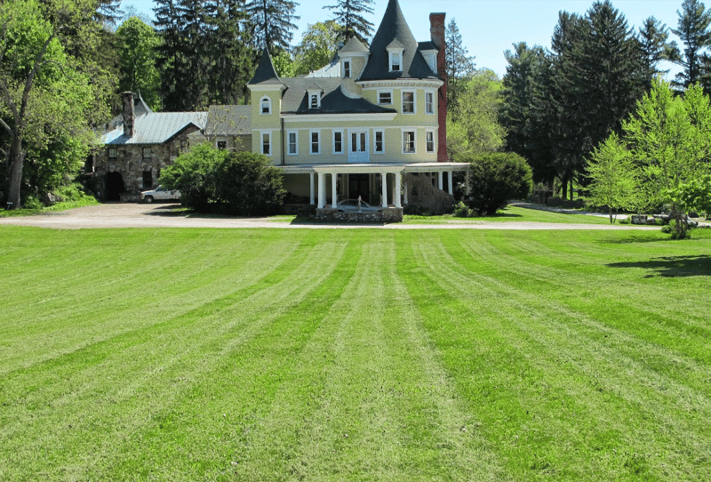 giant-lawn