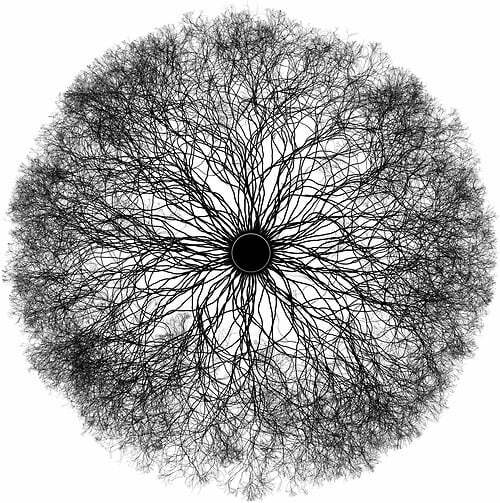 algorithmic