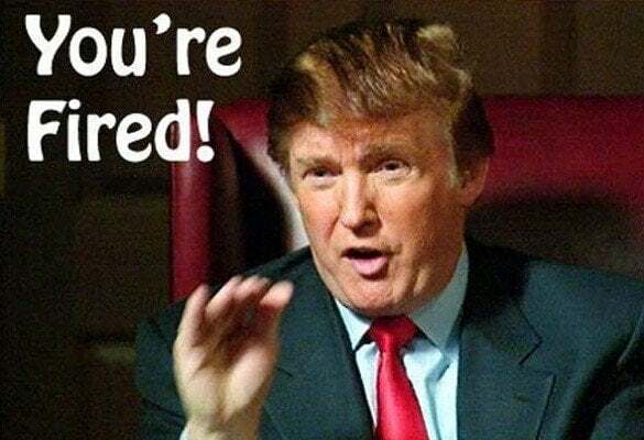 donald-585x400