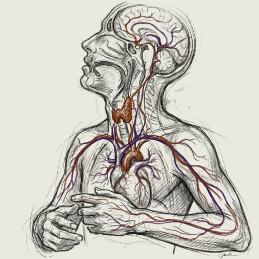 The Culture Series: A Complete Guide to Glanding