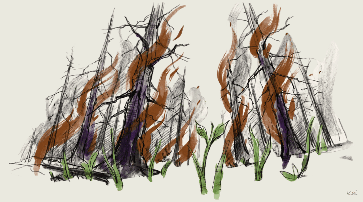 AI SaaS Replacement is the Fire of Fires