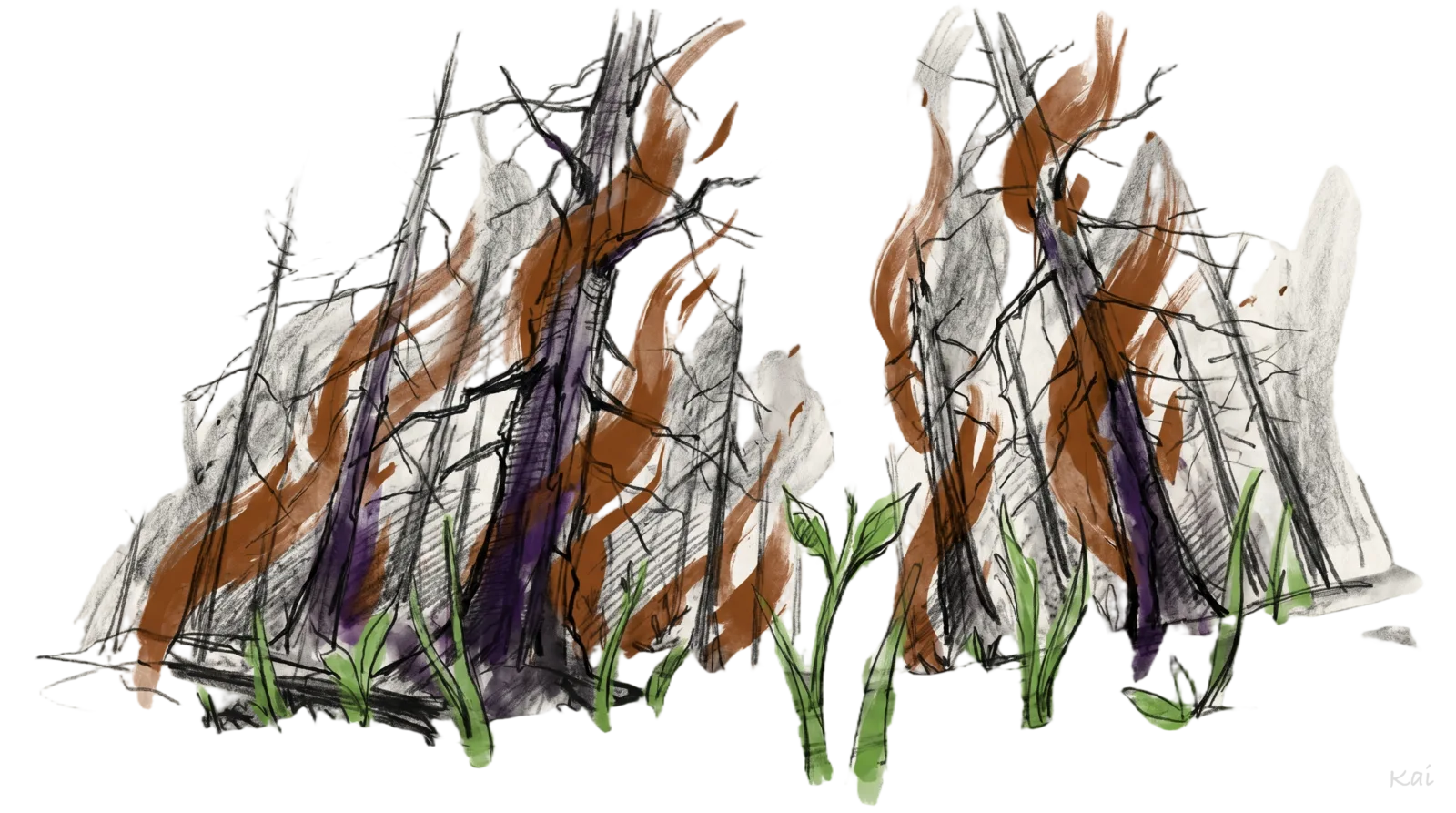 AI SaaS Replacement is the Fire of Fires