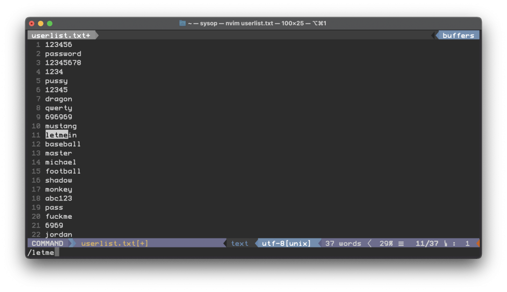 vim search