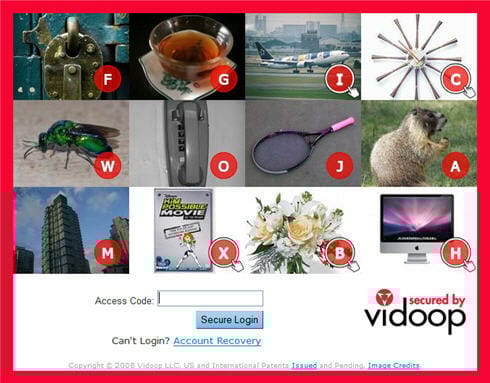 vidoop_example