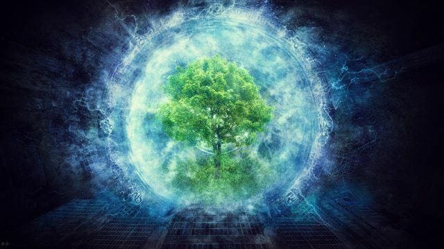 consciousness-e1461764561671