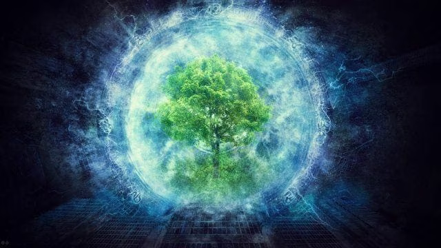 consciousness-e1461764561671