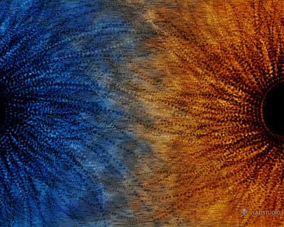 _duality
