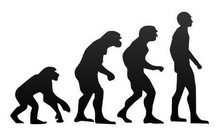 human_evolution
